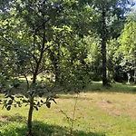 Cabana Epuleufu En Parcela Privada De 5000Mt2