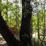 Cabana Epuleufu En Parcela Privada De 5000Mt2