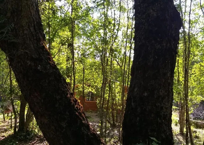 Cabana Epuleufu En Parcela Privada De 5000Mt2