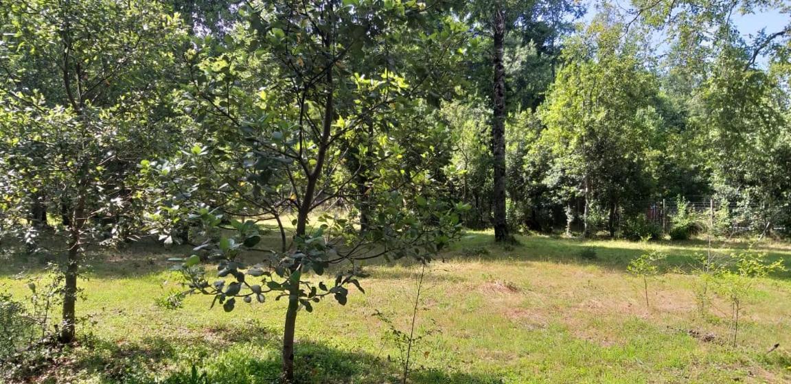 Epuleufu En Parcela Privada De 5000mt2 Casa de férias