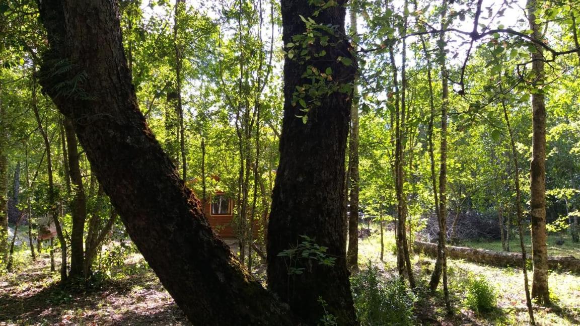 Casa de férias Epuleufu En Parcela Privada De 5000mt2 Pucón