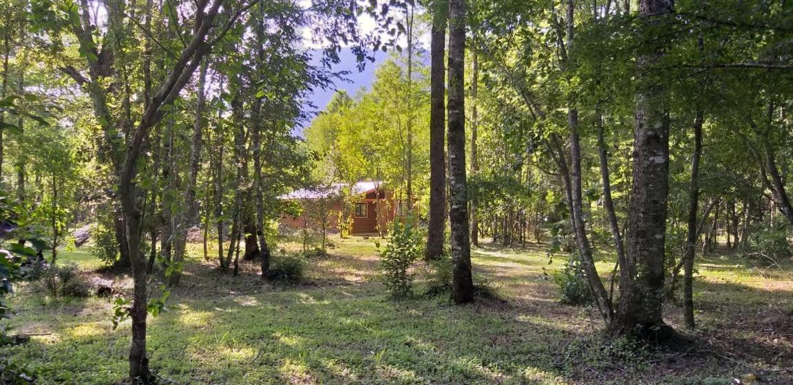 Epuleufu En Parcela Privada De 5000mt2 Casa de férias
